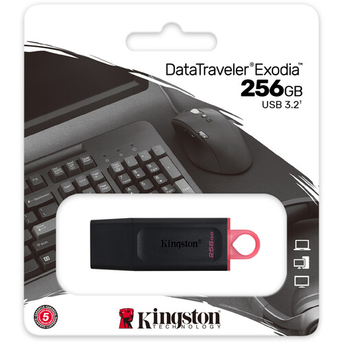 Kingston 256GB DataTraveler Exodia Flash Drive